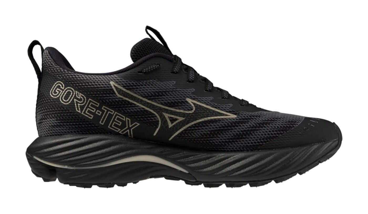 Mizuno Wave Rider GTX 2