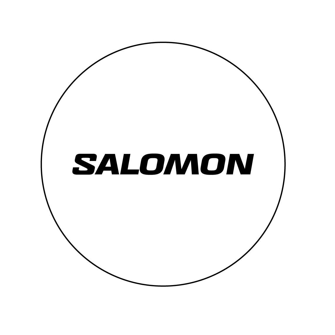Salomon skischoenen kopen