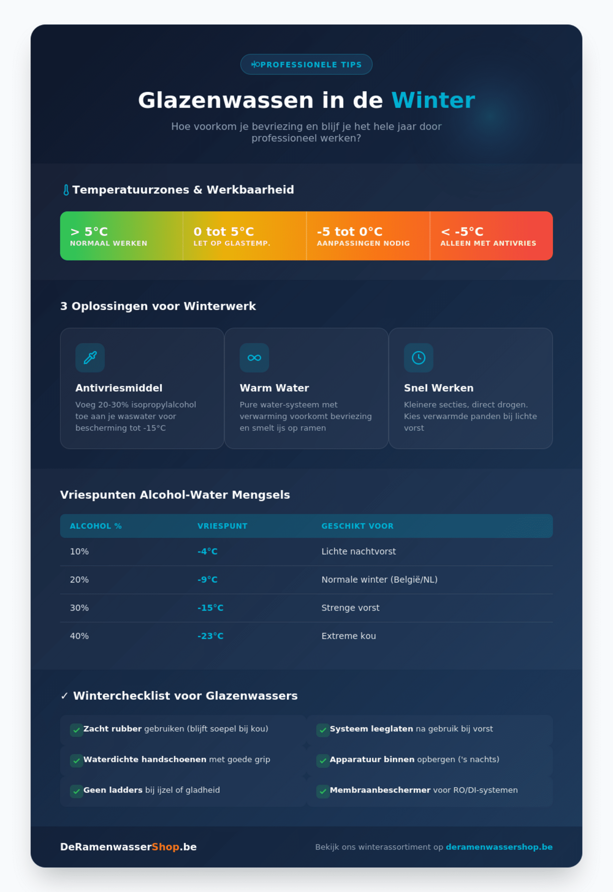 Winter Infographic Preview