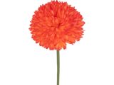 Oranje