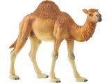 Overige