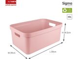Roze