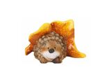 Bruin