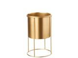 Goud