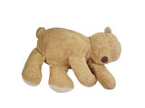 Bruin
