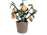 ORANJE