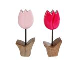 ROZE