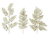 Goud