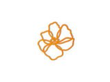 ORANJE