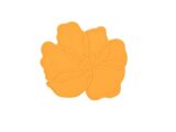 Oranje
