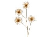 Goud