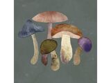 Multi