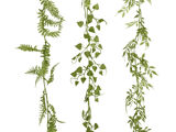 Licht Groen