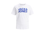 WHITE JR LARGE PRINT