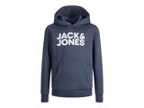 OMBRE BLUE JR  LARGE PRIN