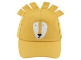 MR LION