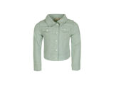 LIGHT MINT