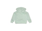 FROSTY GREEN