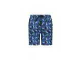 GECKO BLUE AO