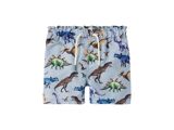ZEN BLUE DINOSAURS