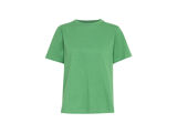 PINE GREEN