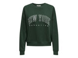 PINE GROVE NEW YORK   MAN