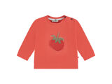 GRAPEFRUIT