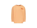 BILLIE APRICOT