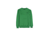 SIGNAL GREEN