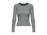 PINENEEDLE ADY STRIPE + D