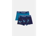 GROENBLAUW DUIVEN