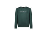STORM GREEN