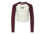 CABERNET HACKNEY CLOUD DA