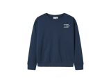 INSIGNIA BLUE