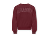 CABERNET AMAZED