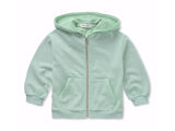 SILT GREEN