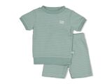 ZEEGROEN