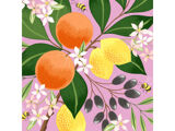 Roze