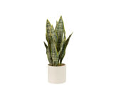 Groen
