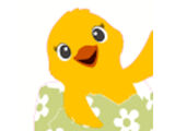 Wit