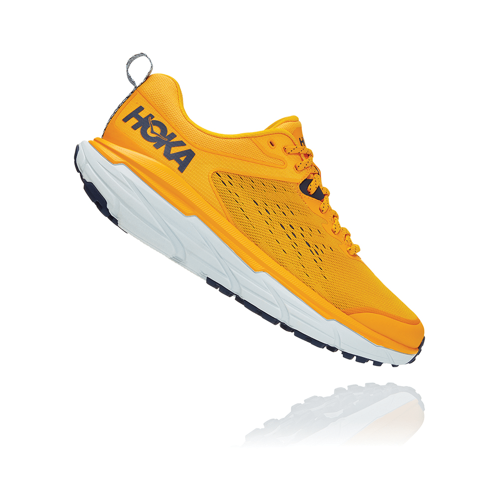 hoka professional runners
