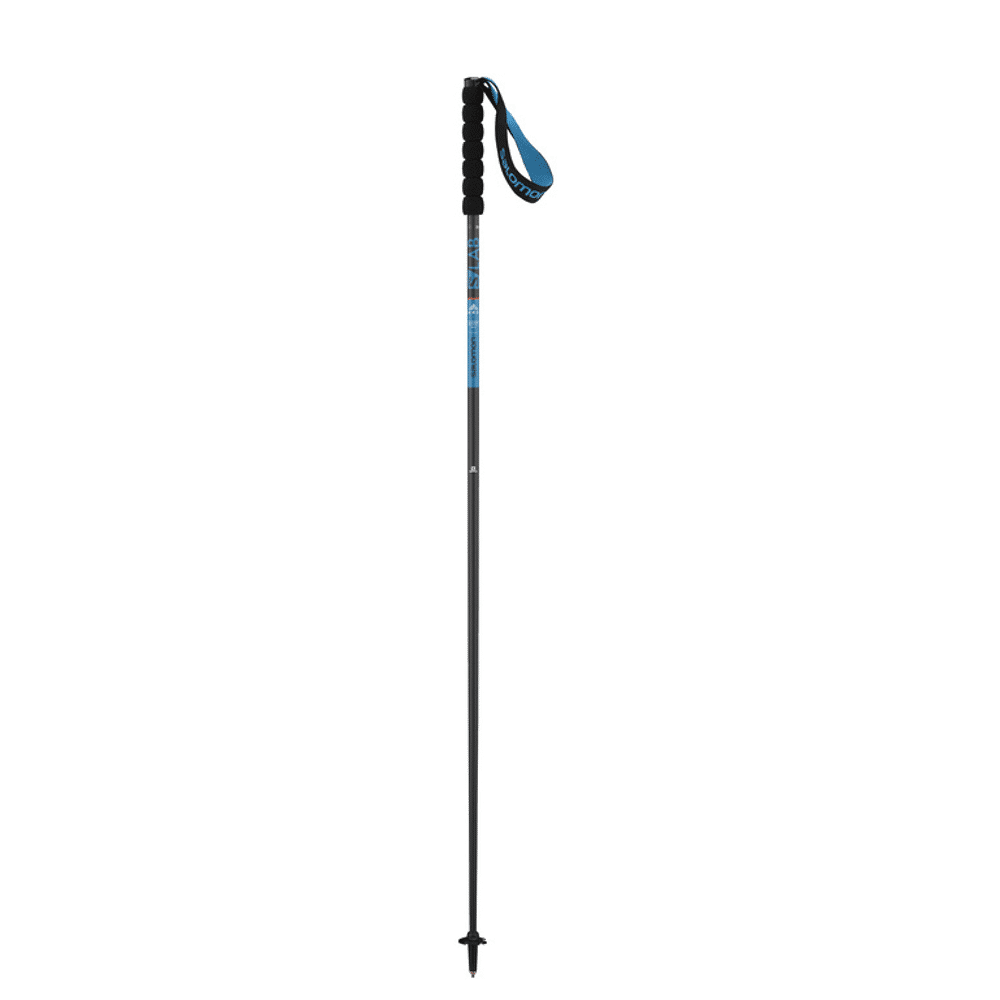 salomon running poles