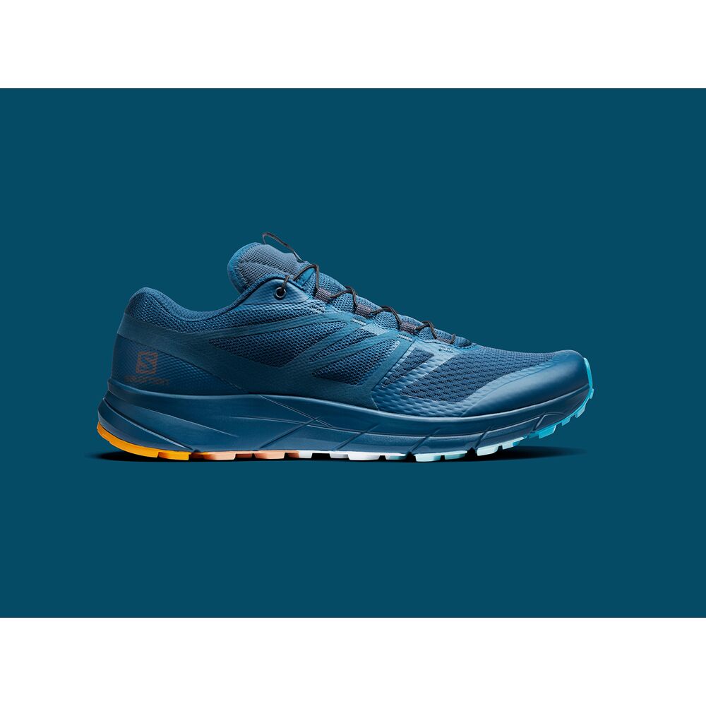 salomon sense ride 2 cena