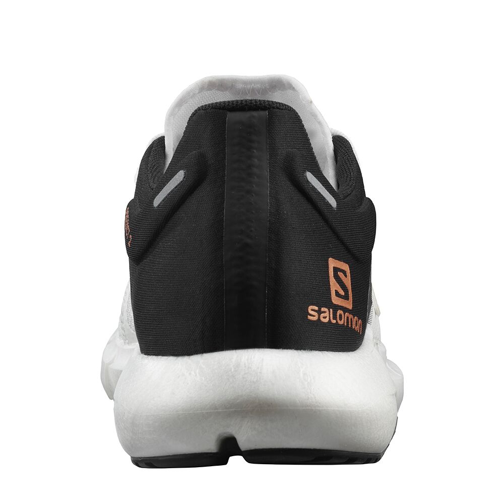 salomon predict 2