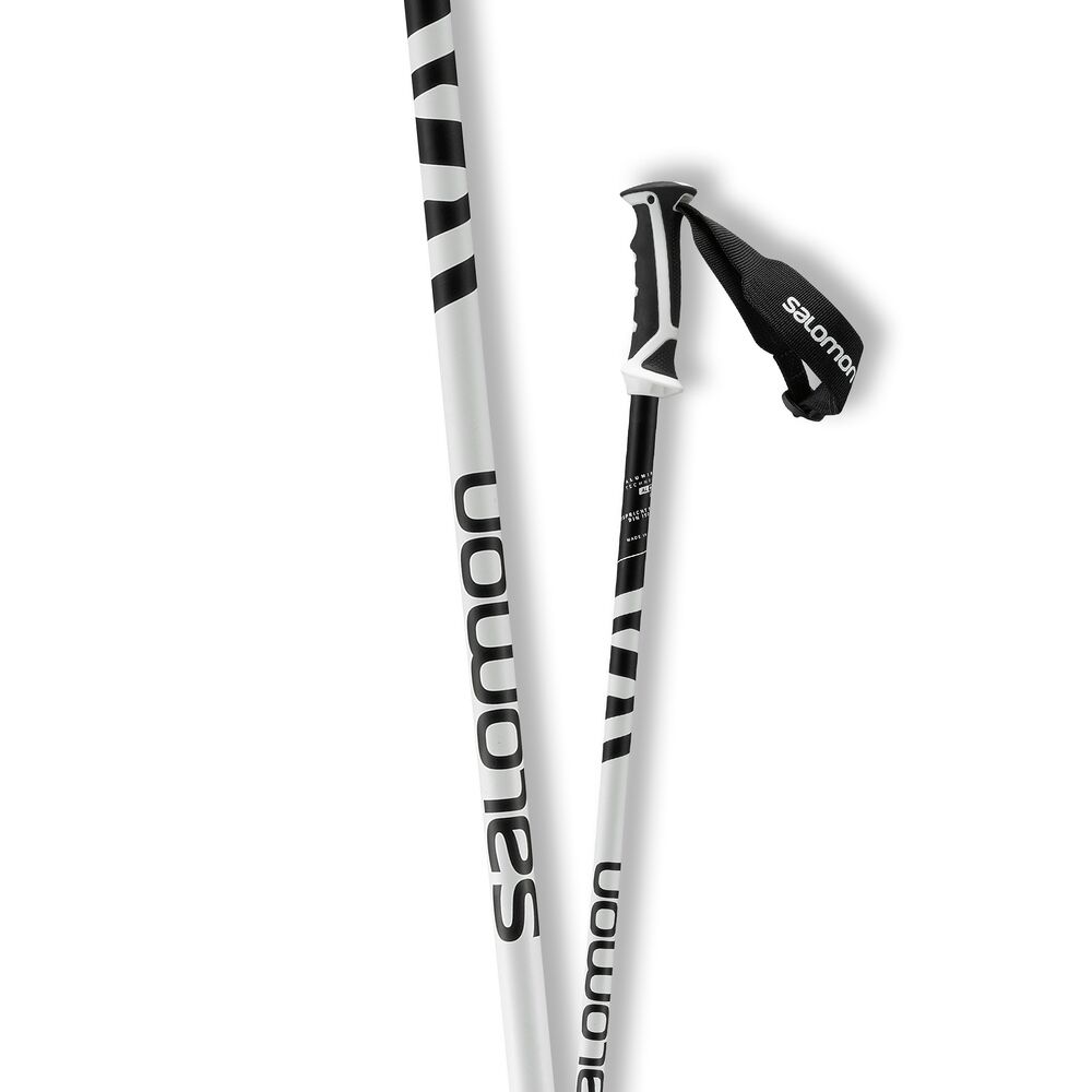 salomon x 08 ski pole