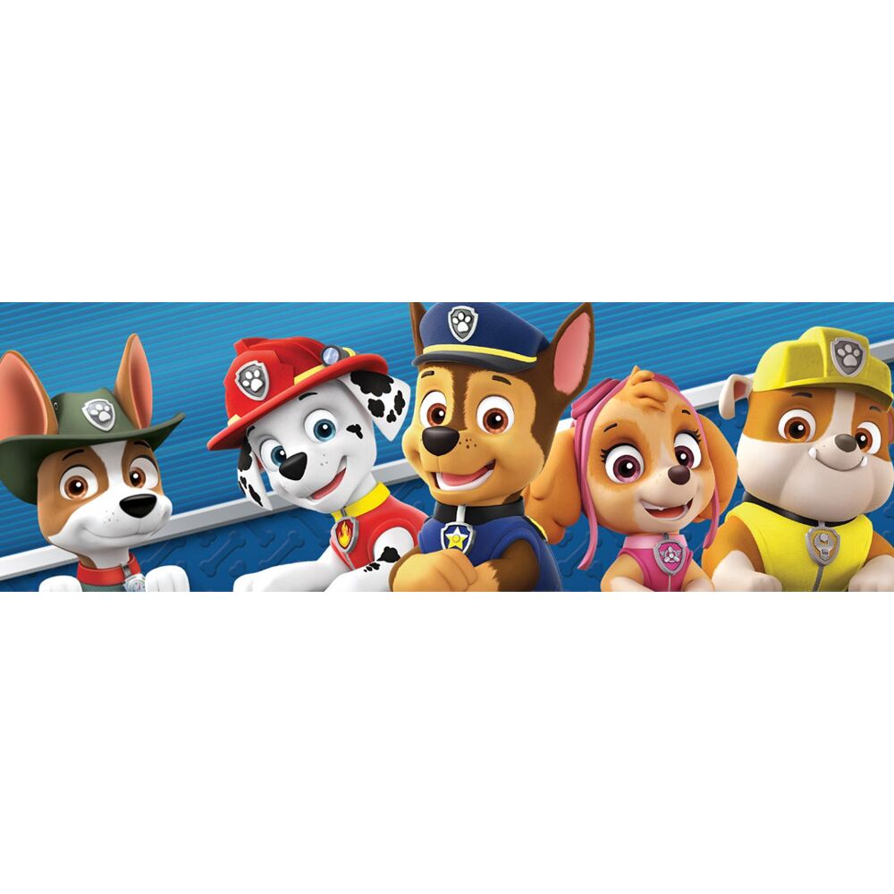 Paw Patrol Nintendo Switch