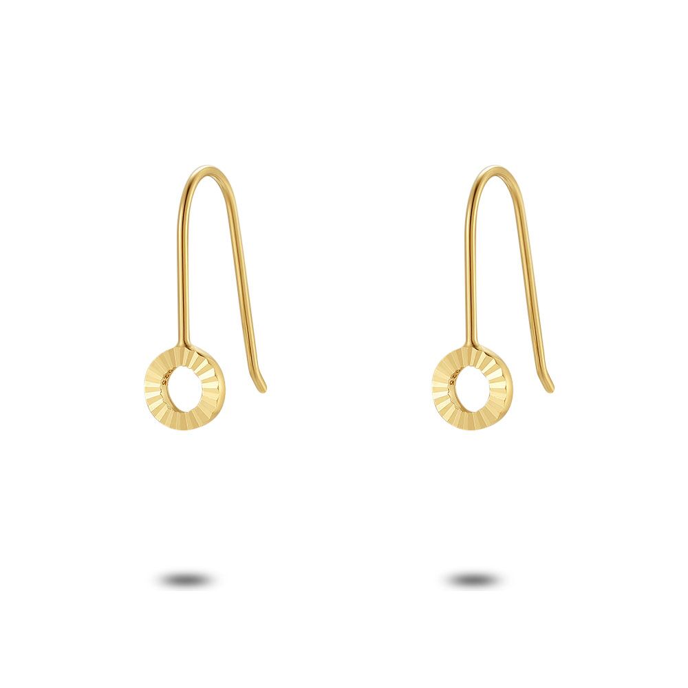 Hook type sales earrings in gold