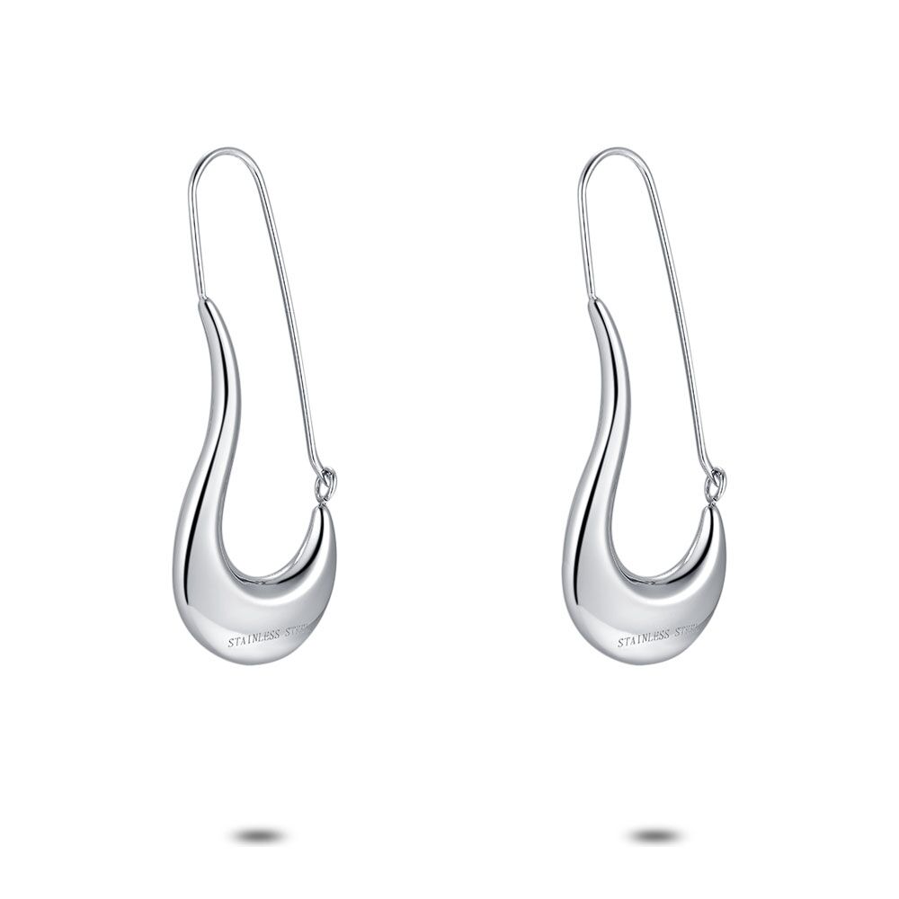 Stainless steel hook sales earrings