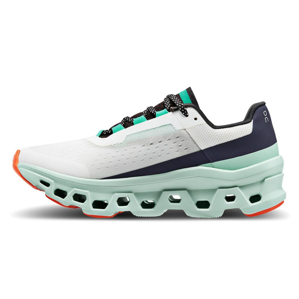 Pegasus x9x shop wave runner