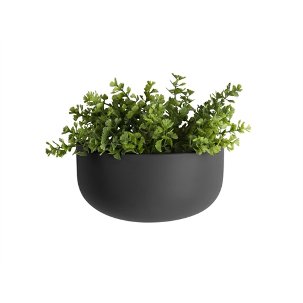 Hangpot Oval/wide Time